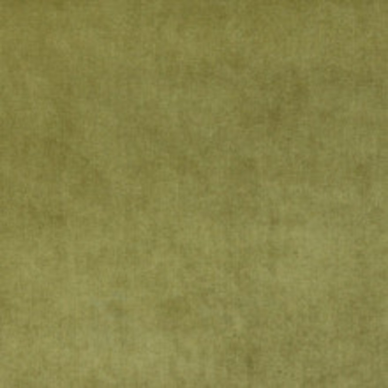 Charlotte Fabric 4234 Fern
