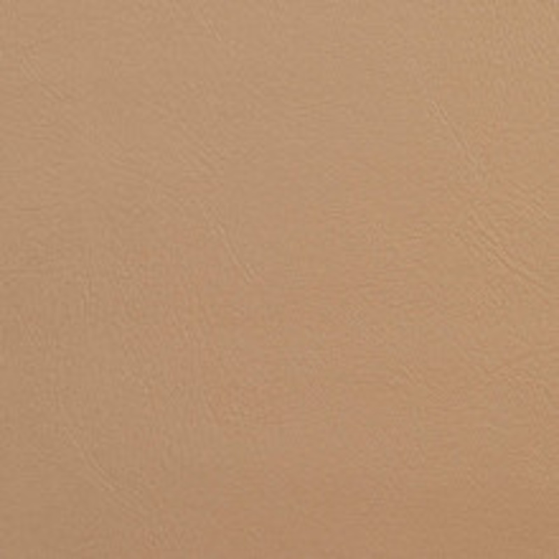 Charlotte Fabric V139 Buff