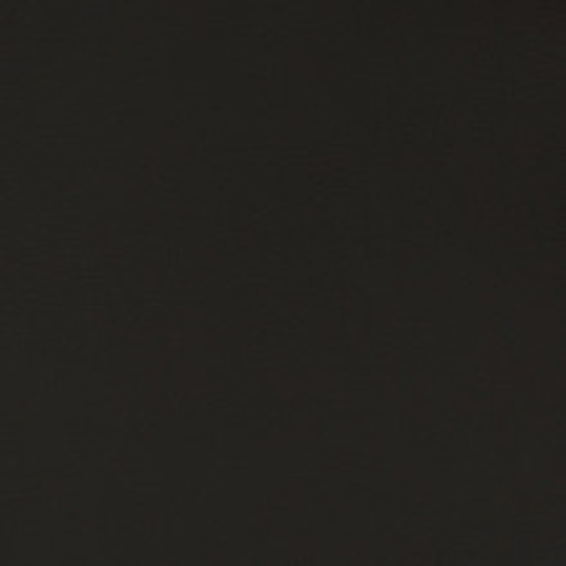 Charlotte Fabric V364 Raven