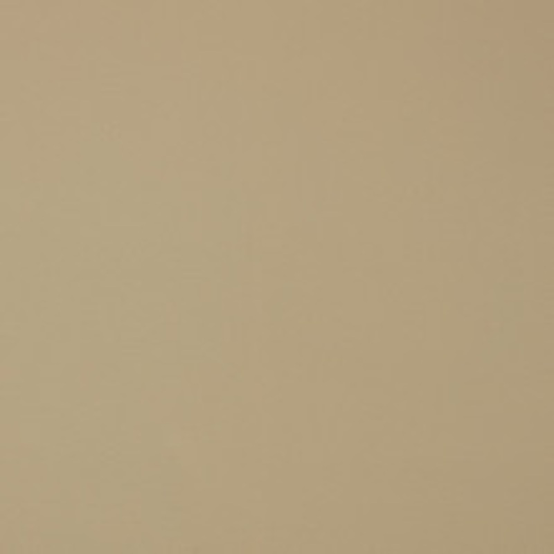 Charlotte Fabric V389 Natural