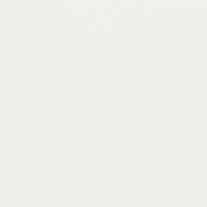 Charlotte Fabric V432 Pearl