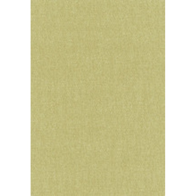 Schumacher Fabric Stone Texture Fern 62463
