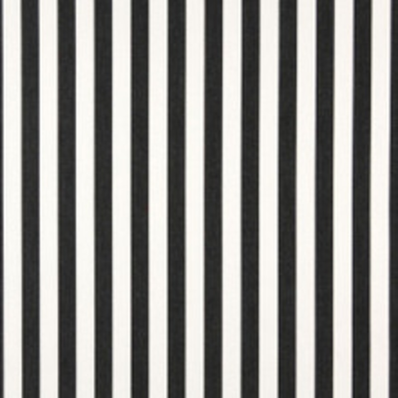Charlotte Fabric 2489 Midnight Canopy