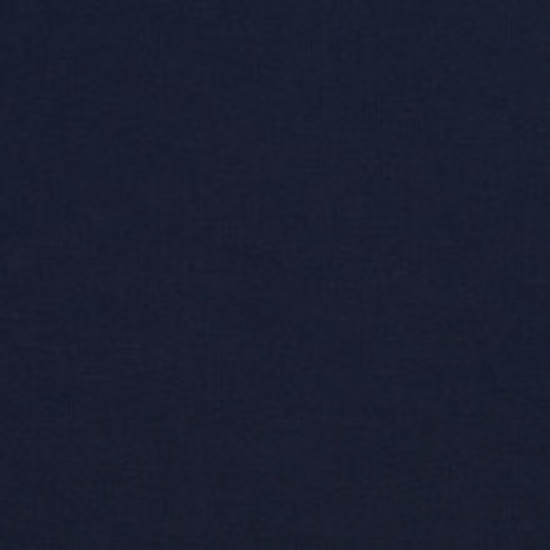 Charlotte Fabric 3881 Midnight