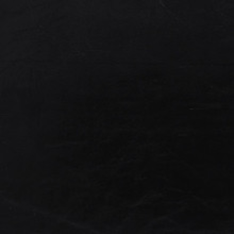 Charlotte Fabric 8250 Ebony