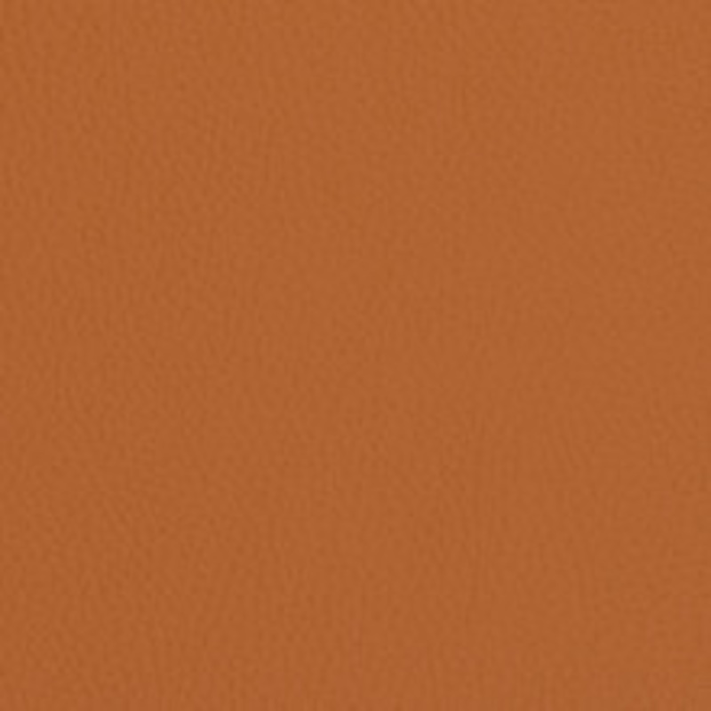 Charlotte Fabric V427 Burnt Sienna