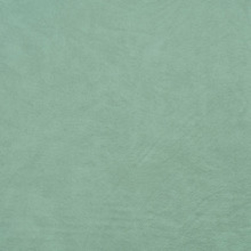 Charlotte Fabric 8100 Mint