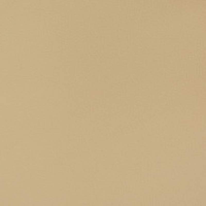 Charlotte Fabric V368 Barley