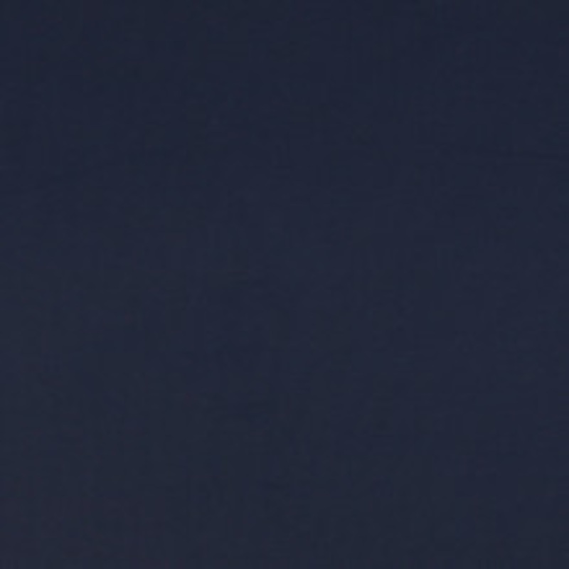 Charlotte Fabric 2476 Navy