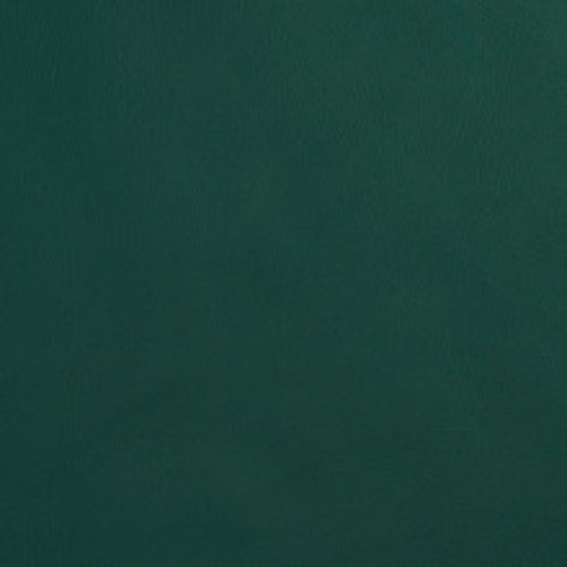 Charlotte Fabric 8080 Spruce