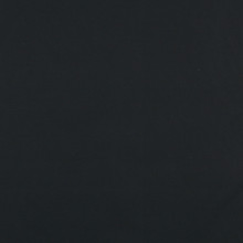 Charlotte Fabric 9441 Ebony