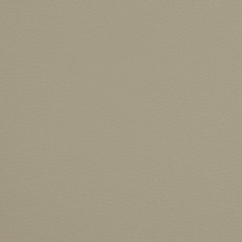 Charlotte Fabric V209 Pewter