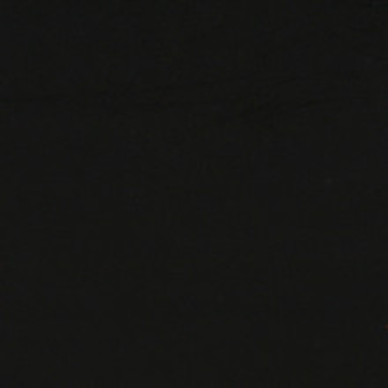 Charlotte Fabric 2482 Midnight