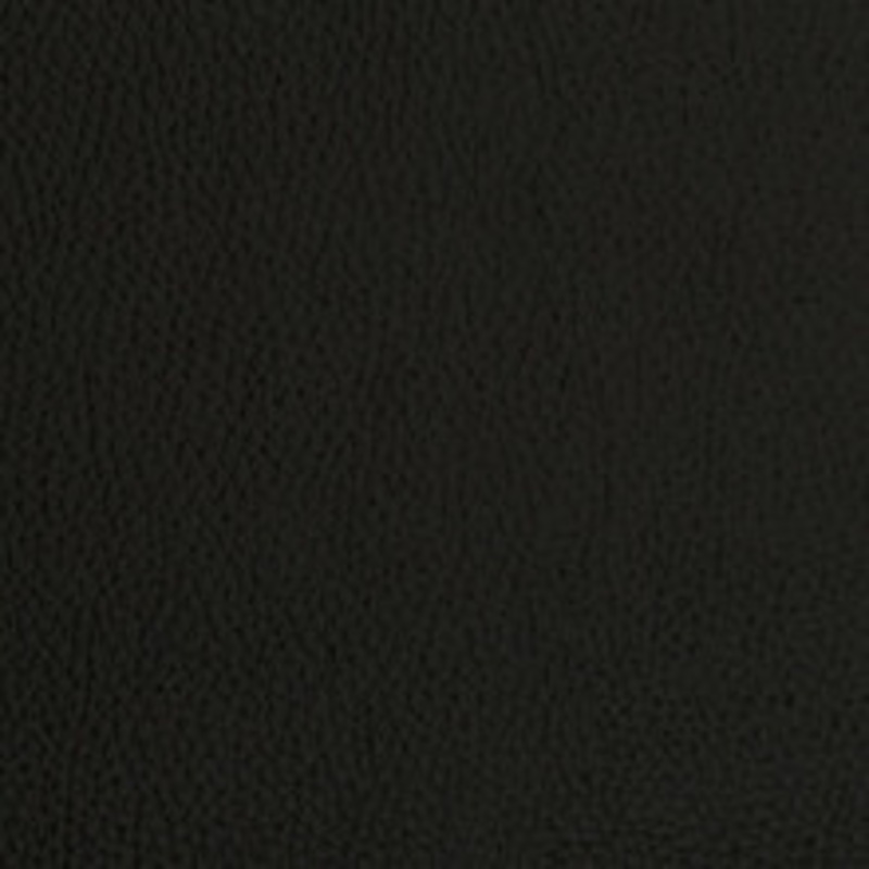 Charlotte Fabric V423 Onyx