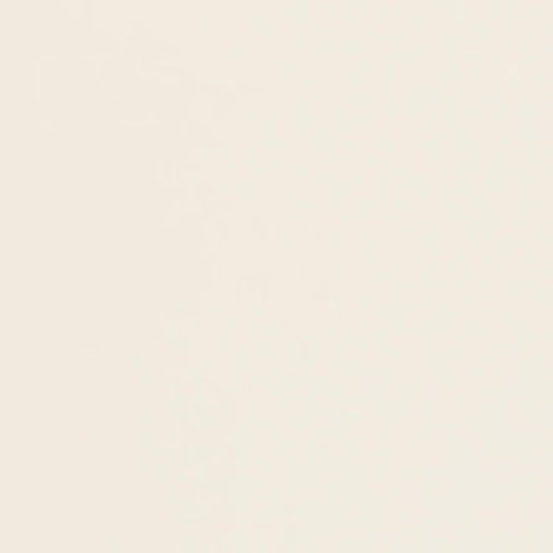 Charlotte Fabric V438 Bone