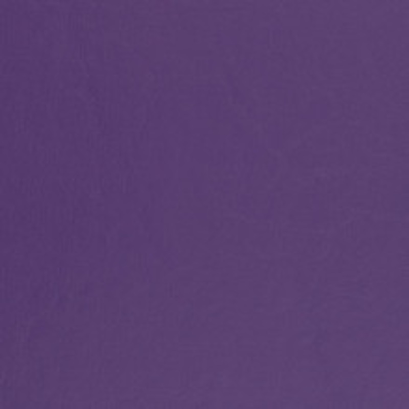 Charlotte Fabric V459 Purple