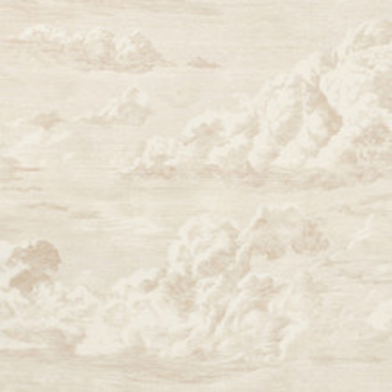 Schumacher Fabric Cloud Toile Champagne 177000