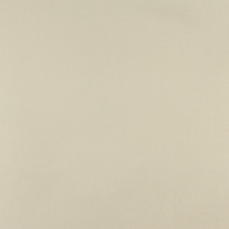 Charlotte Fabric 3108 Celery