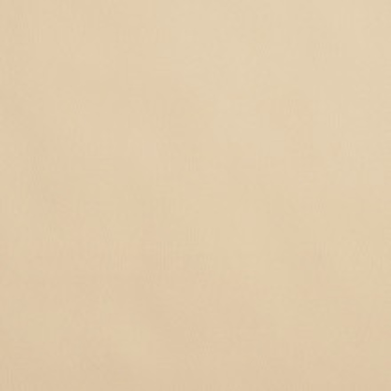 Charlotte Fabric 8065 Ivory