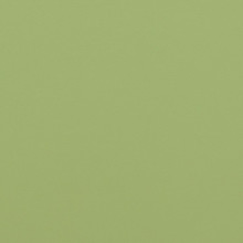 Charlotte Fabric V307 Meadow