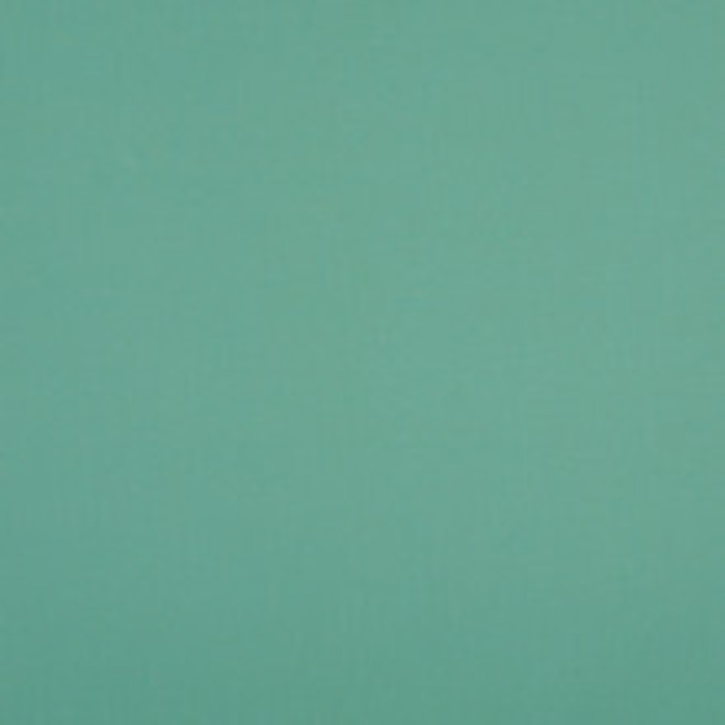 Charlotte Fabric 10104-01