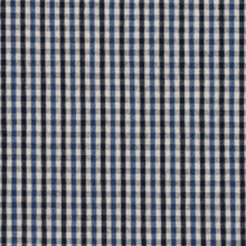 Charlotte Fabric 5819 Cobalt Check