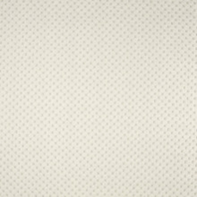 Charlotte Fabric 7662 Cream