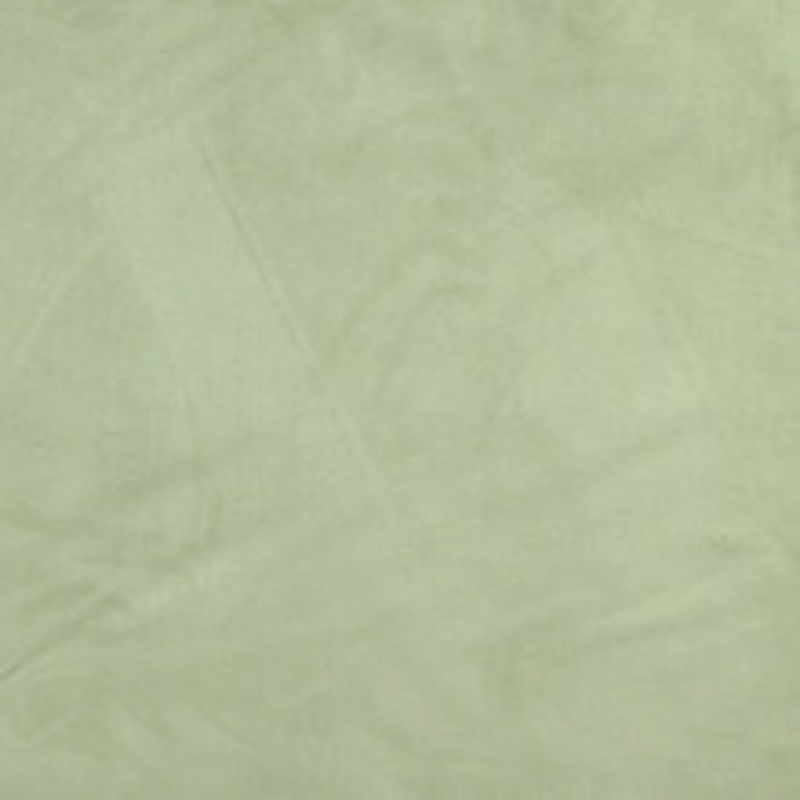 Charlotte Fabric 3090 Fern