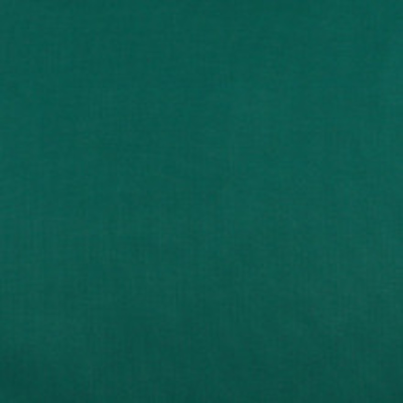 Charlotte Fabric 3111 Rainforest