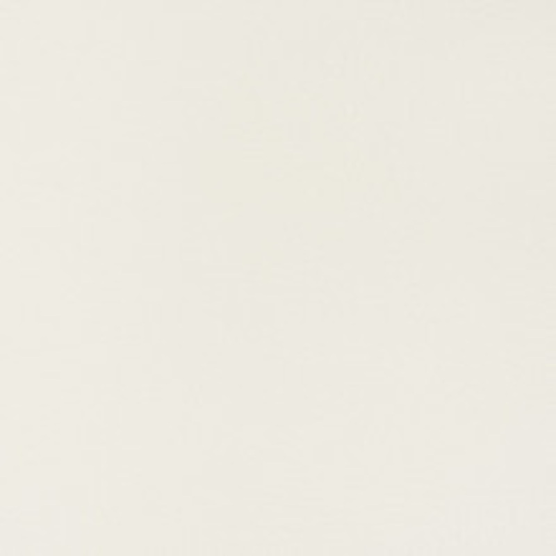 Charlotte Fabric V381 Snow