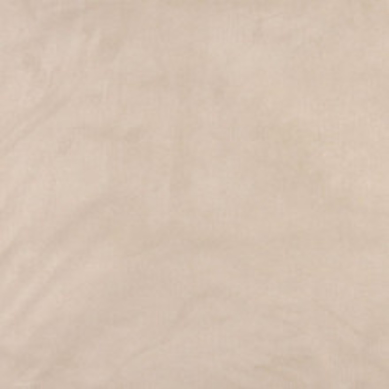 Charlotte Fabric 3058 Parchment