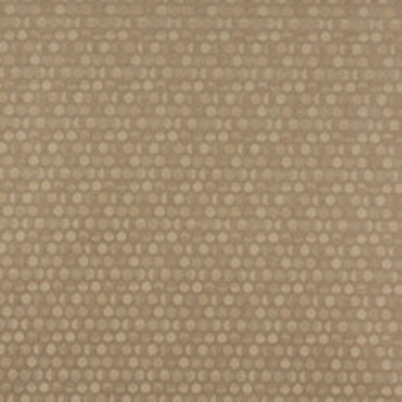 Charlotte Fabric 3576 Buff