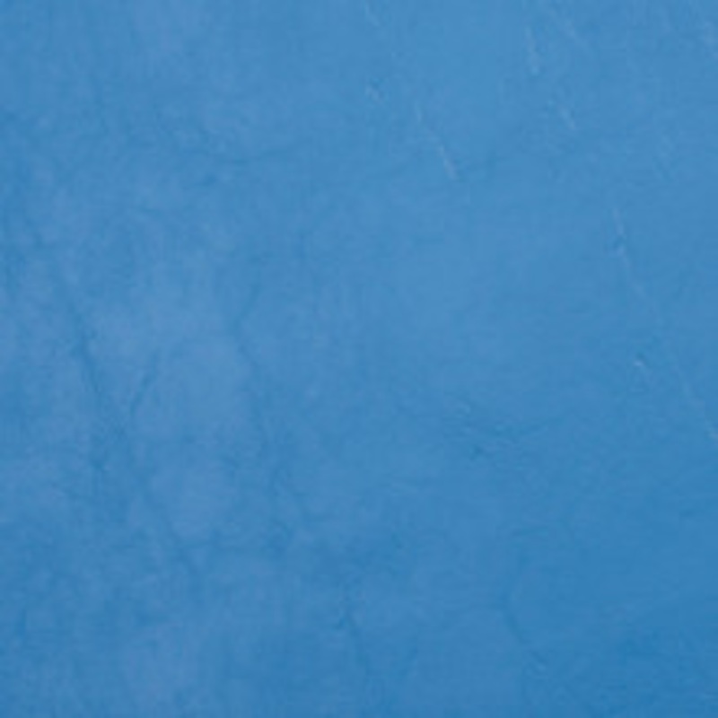 Charlotte Fabric 8090 Dresden