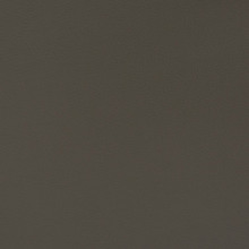 Charlotte Fabric V339 Flint