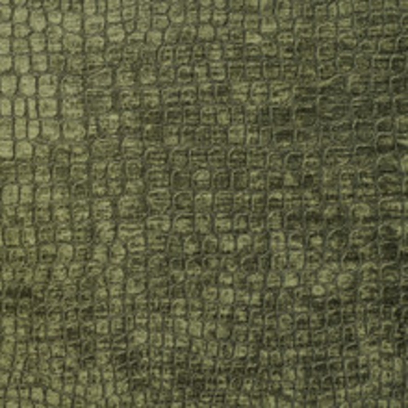 Charlotte Fabric 10151-16