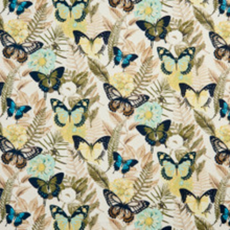 Charlotte Fabric 20470-02