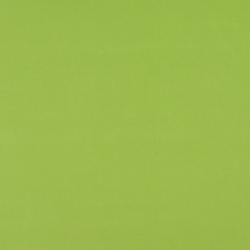 Charlotte Fabric 2469 Lime
