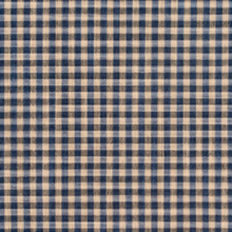 Charlotte Fabric D120 Indigo Gingham