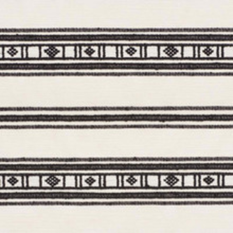 Schumacher Fabric Buena Vista Black 74481