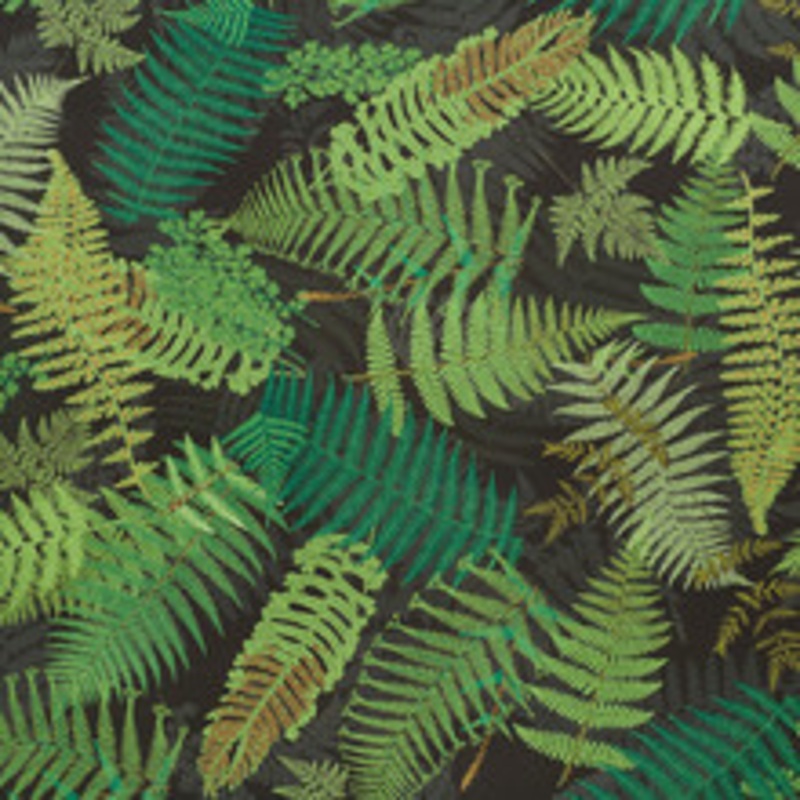 Schumacher Fabric Fernarium Green & Black 177591