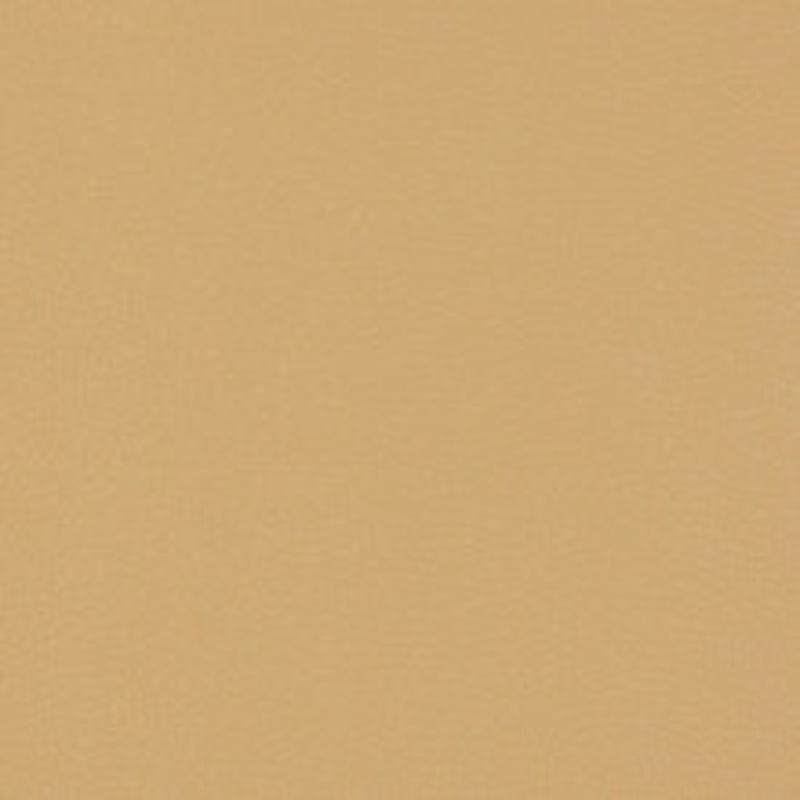 Charlotte Fabric V229 Beach