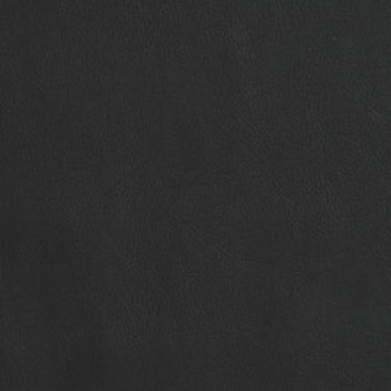 Charlotte Fabric 7407 Coal