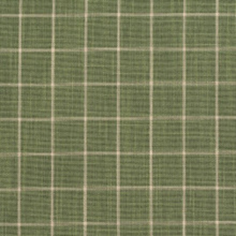 Charlotte Fabric D126 Juniper Checkerboard