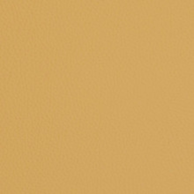 Charlotte Fabric V429 Sand Dollar