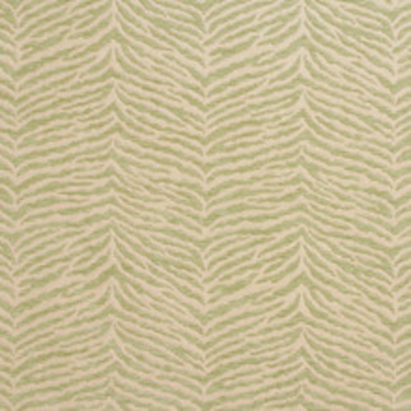 Charlotte Fabric 20870-06