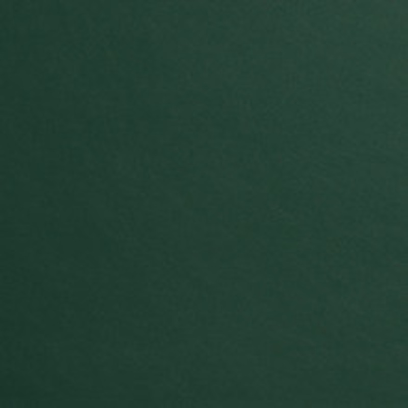 Charlotte Fabric 8218 Spruce