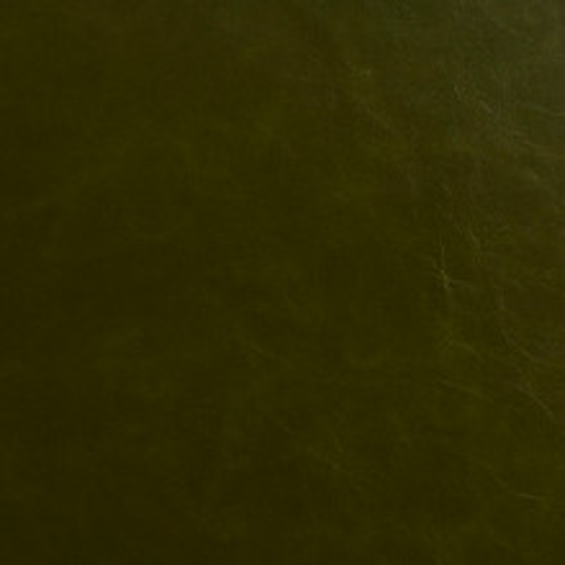 Charlotte Fabric 8241 Moss