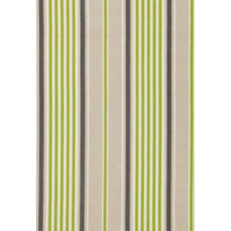 Schumacher Fabric Minzer Cotton Stripe Vert 66012