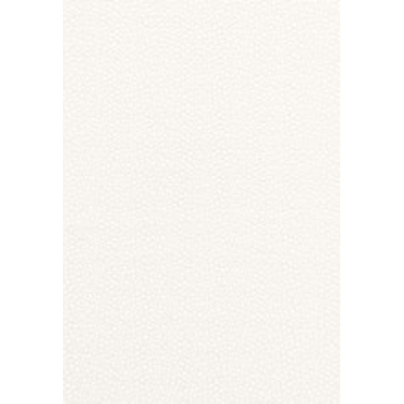 Schumacher Fabric Rossini Sheer Ivory 67660