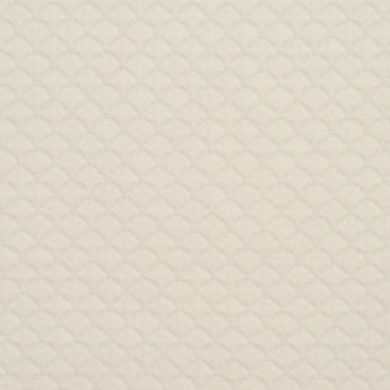 Charlotte Fabric 3464 Shell
